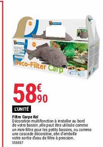 filtre carpe koï
