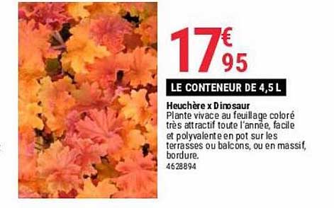 hauchère x dinosaur