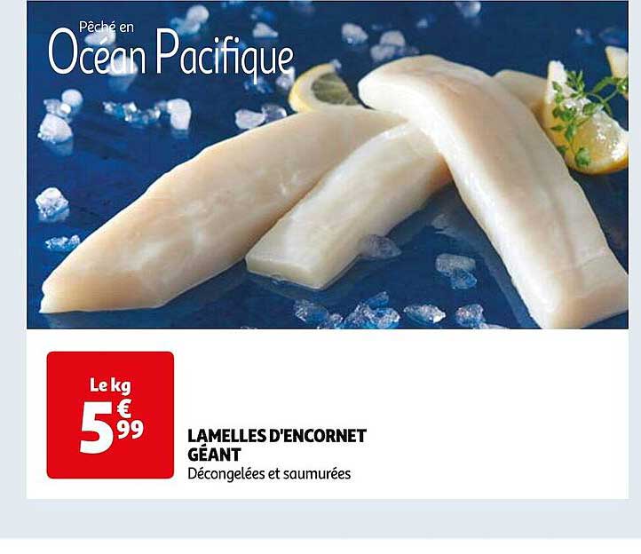 lamelles d'encornet géant