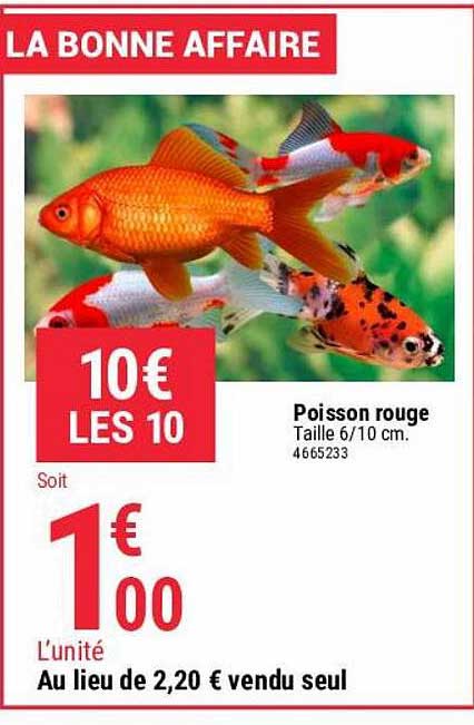 Poisson Rouge