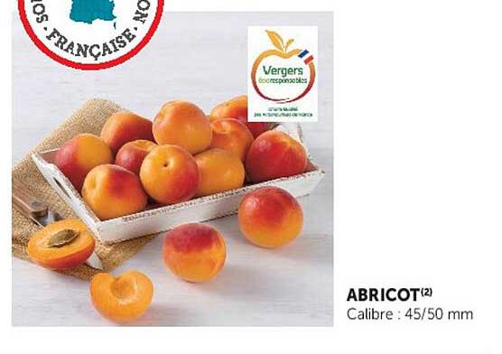 ABRICOT