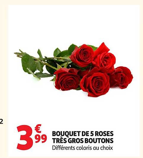 BOUQUET DE 5 ROSES
