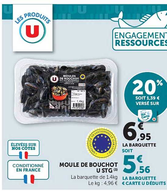 MOULE DE BOUCHOT U STG
