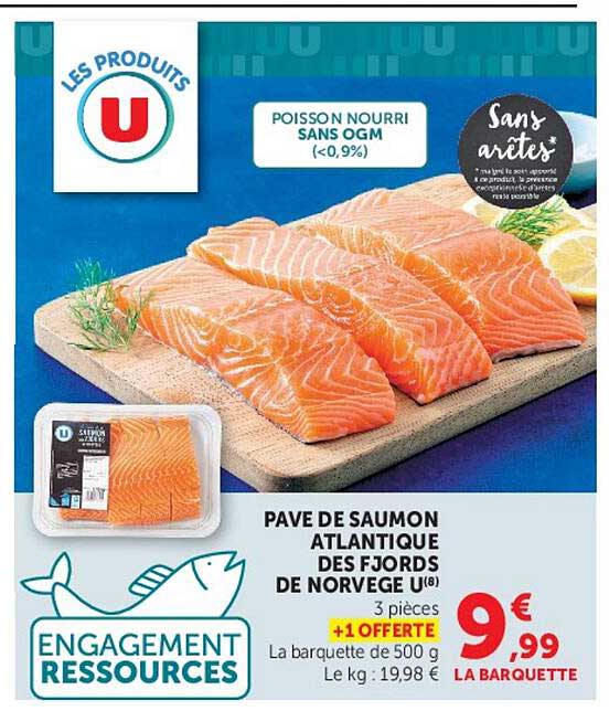 PAVE DE SAUMON ATLANTIQUE DES FJORDS DE NORVEGE U8