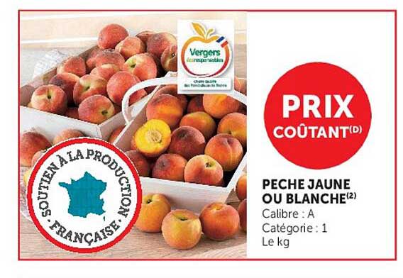PECHE JAUNE OU BLANCHE