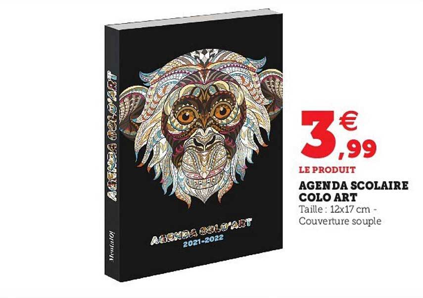 agenda scolaire colo art