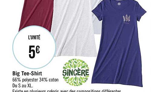 big tee-shirt sincère
