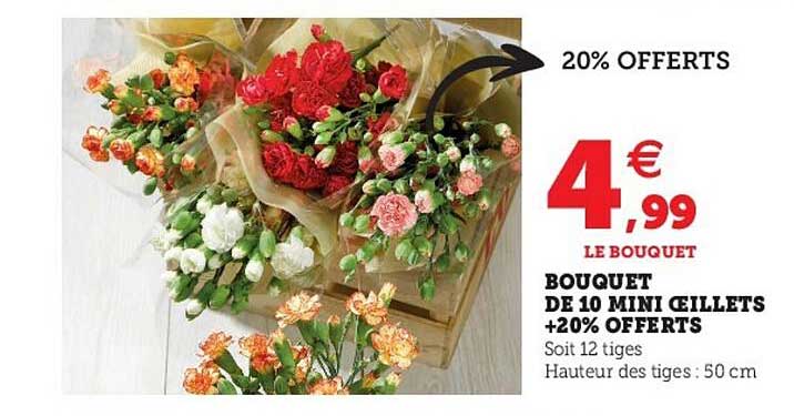 Bouquet De 10 Mini Oeillets +20% Offerts