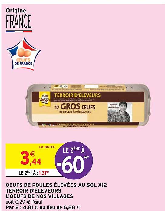 œufs de poules élevées au sol x 12 terroir d'éleveurs l'œufs de nos villages
