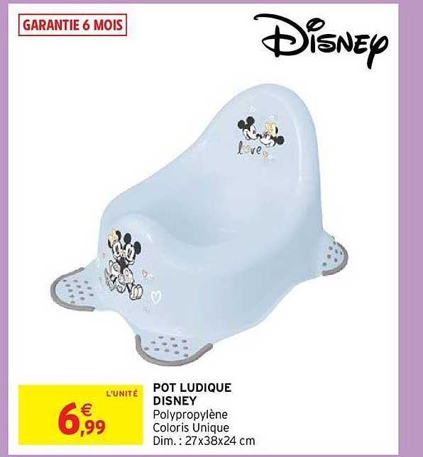 Pot Ludique Disney