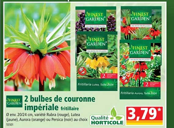 2 bulbes de couronne impériale fritillaire finest garden