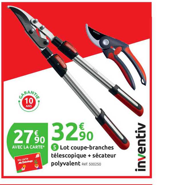 lot coupe-branches télescopique + sécateur polyvalent