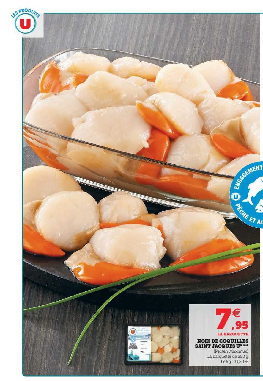 noix de coquilles saint jacques u ***