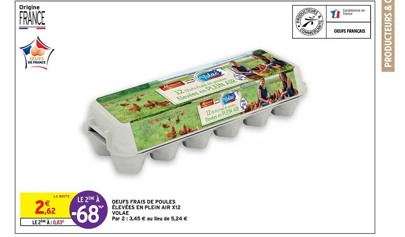 Oeufs Frais De Poules élevées En Plein Air X12 Volaé