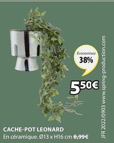 cache-pot leonard