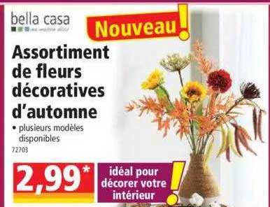 assortiment de fleurs décoratives d'automne bella casa