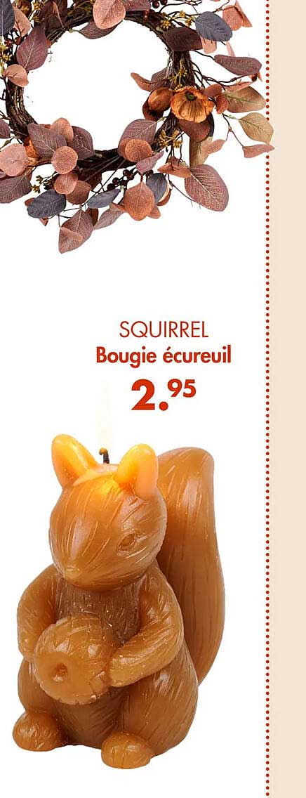 bougie écureuil squirrel