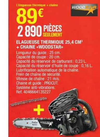élagueuse Thermique 25,4 Cm³ + Chaîne «woodstar»
