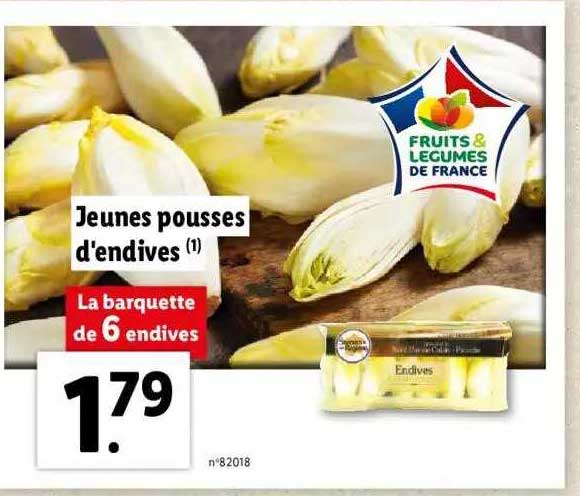 jeunes pousses d'endives
