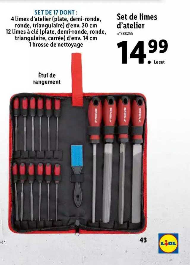 set de limes d'atelier parkside