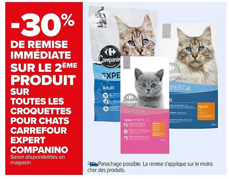 Croquettes Pour Chats Carrefour Expert Companino