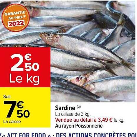 Sardine