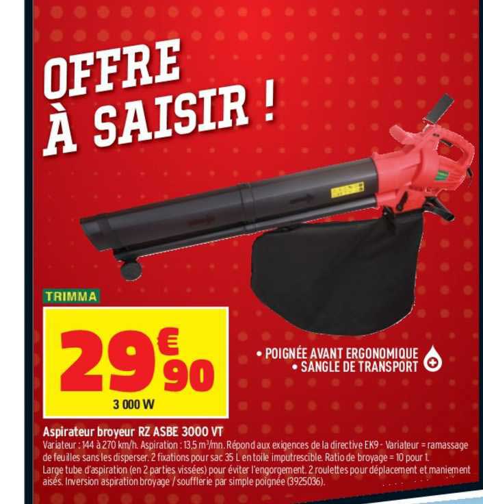 aspirateur broyeur rz asbe 3000 vt
