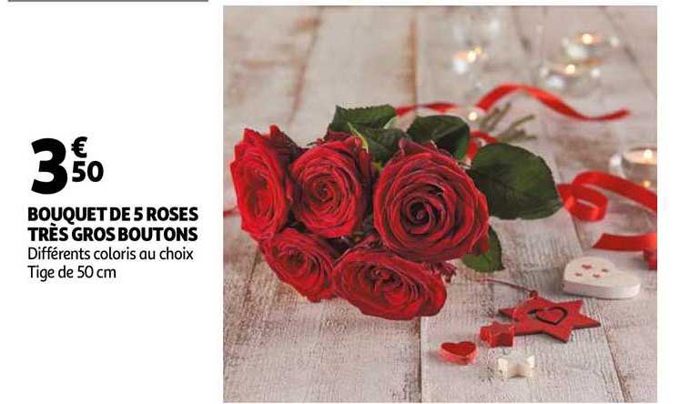 bouquet de 5 roses très gros boutons