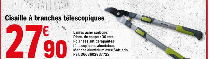 cisaille à branches télescopiques