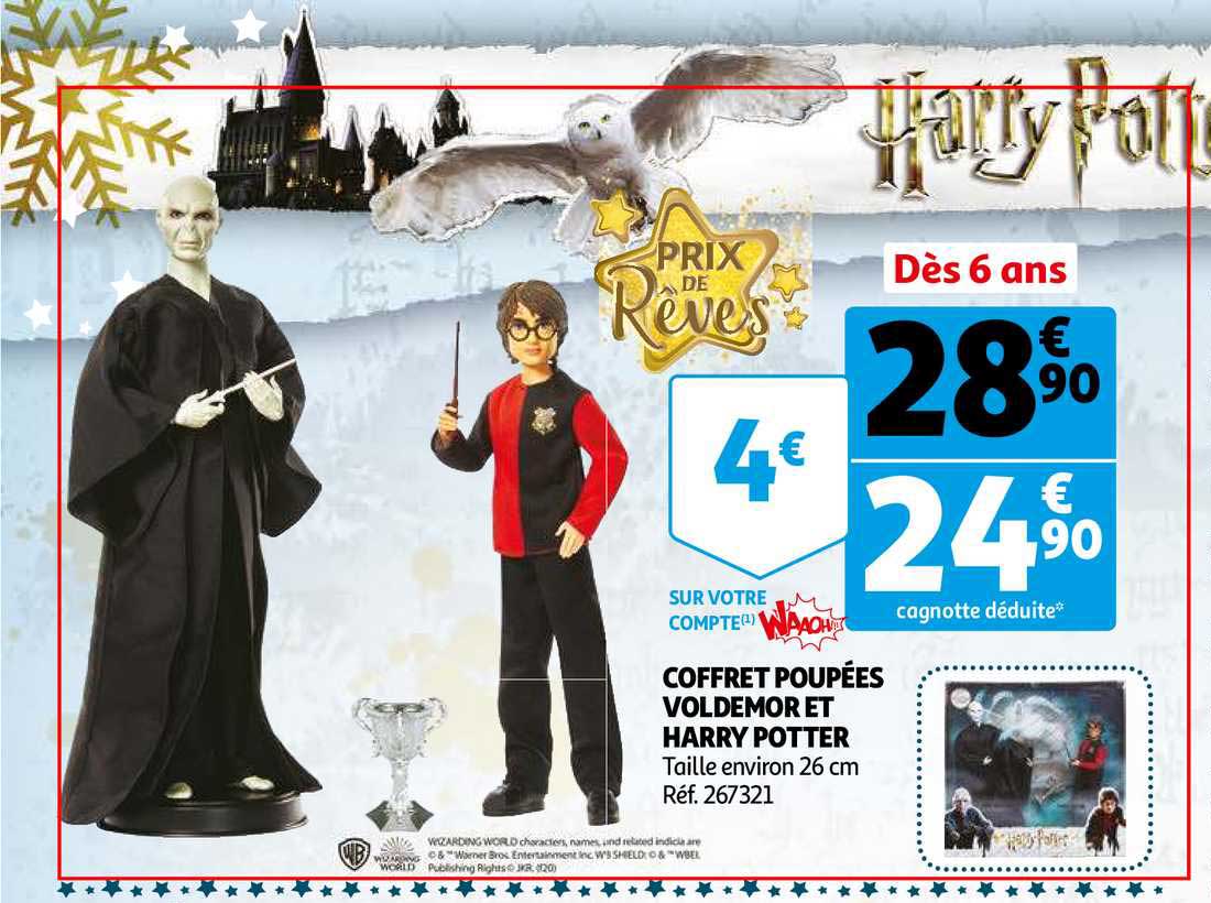 coffret poupées voldemor et harry potter prix de rêves