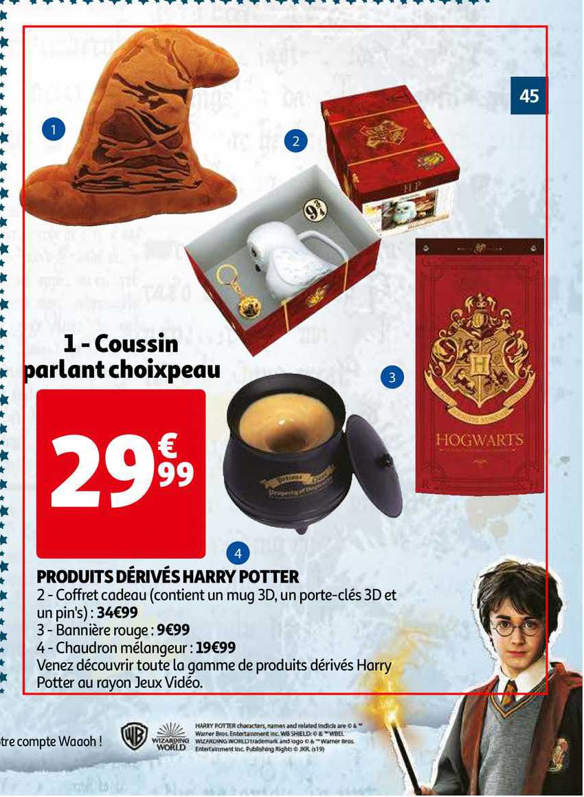 coussin parlant choixpeau