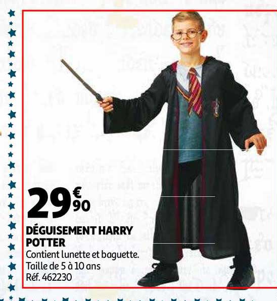 déguisement harry potter