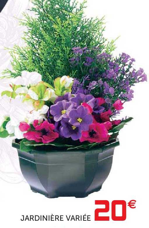 jardinière variée