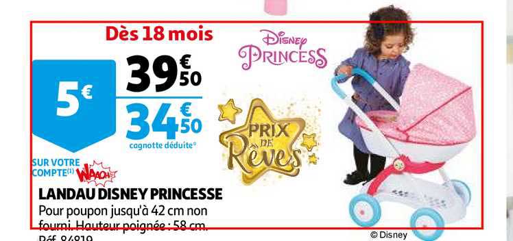 landau disney princesse