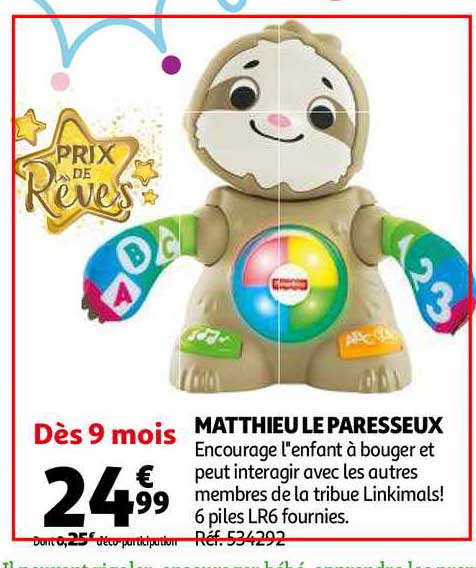 matthieu le paresseux prix de rêves