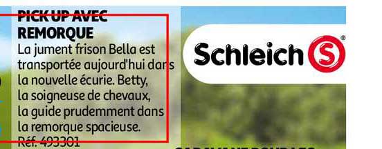 pick up avec remorque scheich