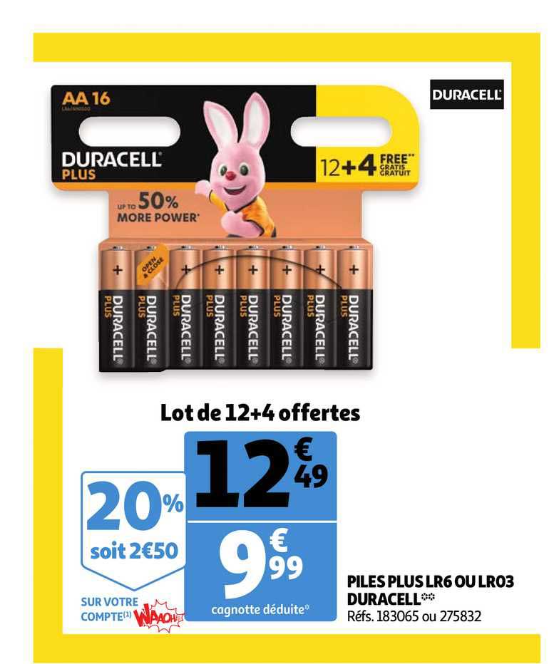 piles plus lr6 ou lr03 duracell