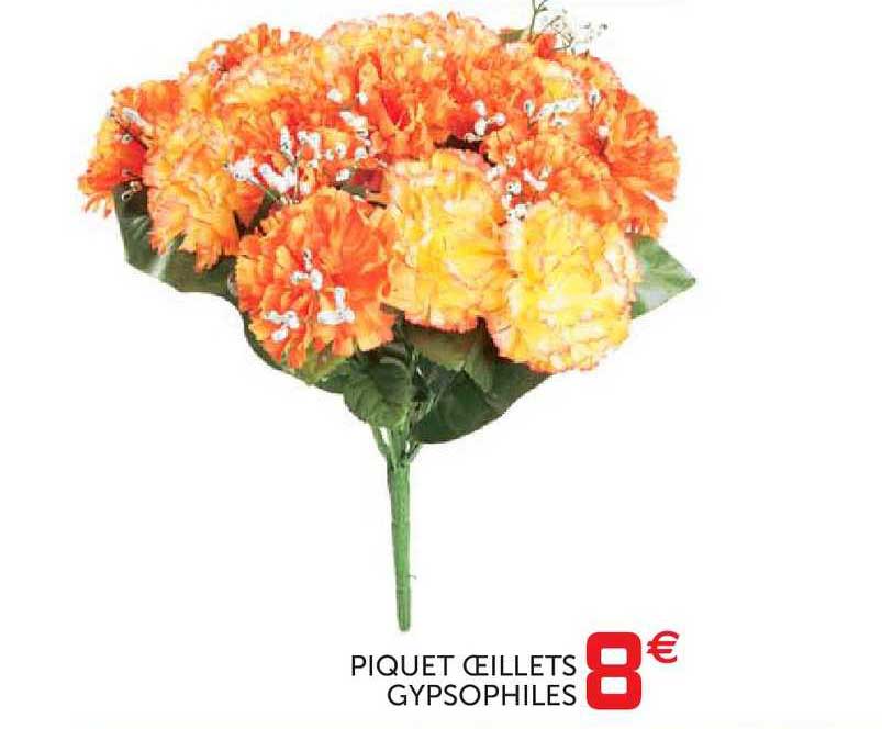 Piquet œillets Gypsophiles