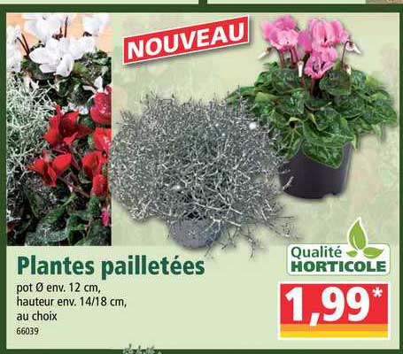 plantes pailletées qualité horticole