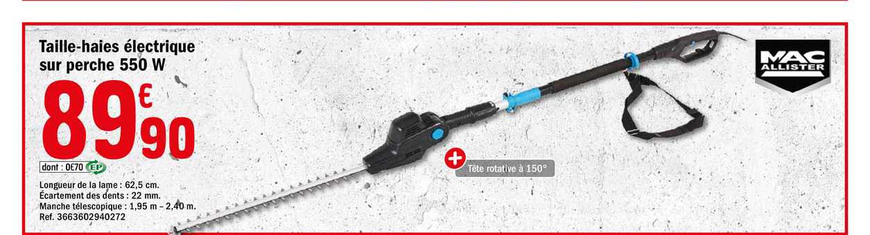 Taille Haies électrique Sur Perche 550 W
