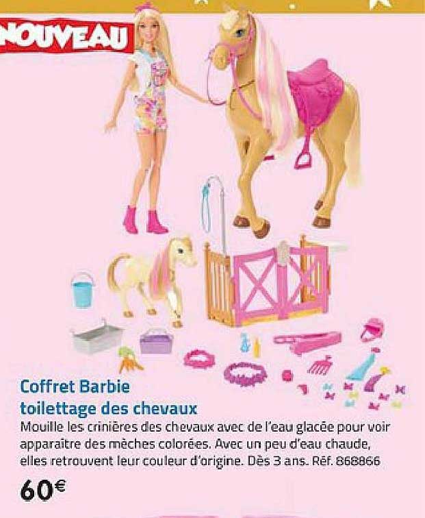 Coffret Barbie Toilettage Des Chevaux