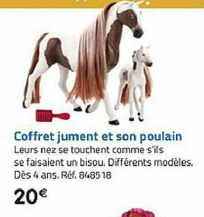 coffret jument et son poulain