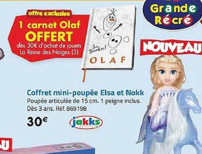 coffret mini-poupée elsa et nokk jakks