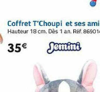 coffret t'choupi et ses amis jemini