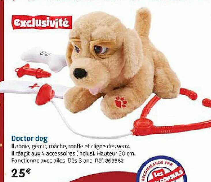 doctor dog
