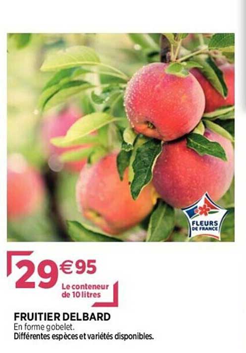 fruitier delbard