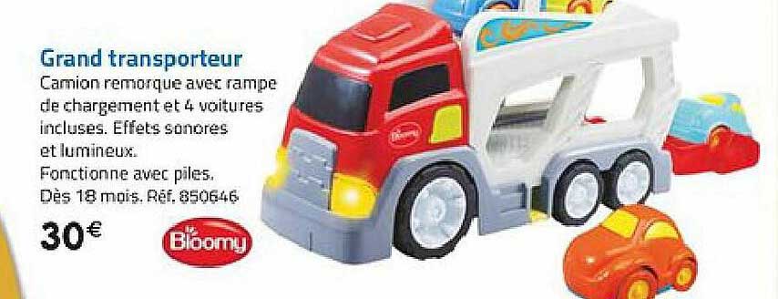 grand transporteur bloomy