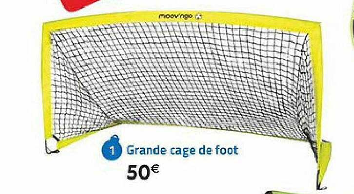 Grande Cage De Foot Moov'ngo
