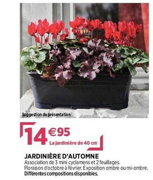 jardinière d'automne