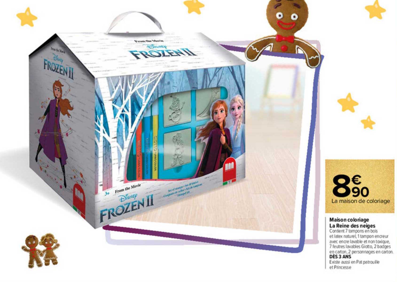 maison colorage la reine des neiges